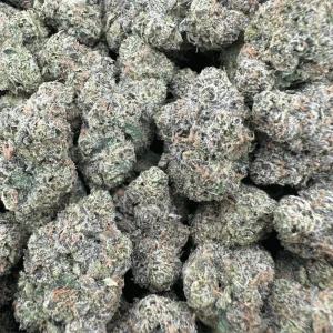 Black Gelato – Hybrid - Barewoods image 2