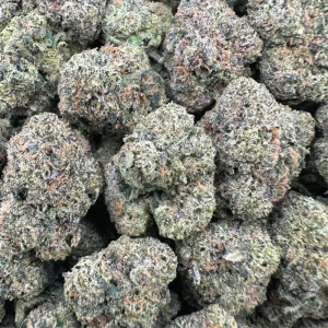 Watermelon Sherbert – Hybrid - Barewoods image 2