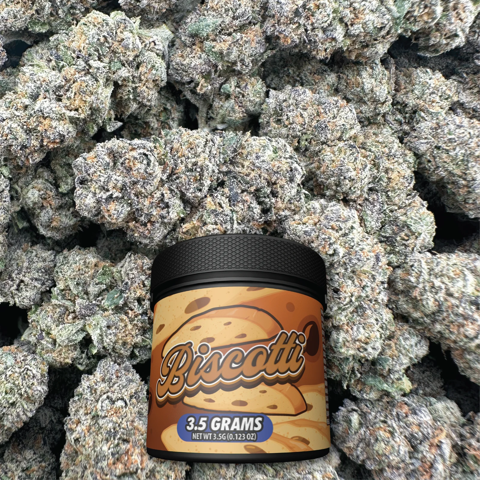 Biscotti – Hybrid - Barewoods
