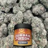 Durban Poison – Sativa
